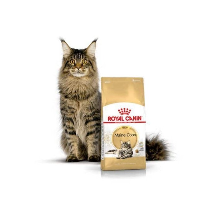 Royal Canin FBN kassitoit Maine Coon Adult / 4kg