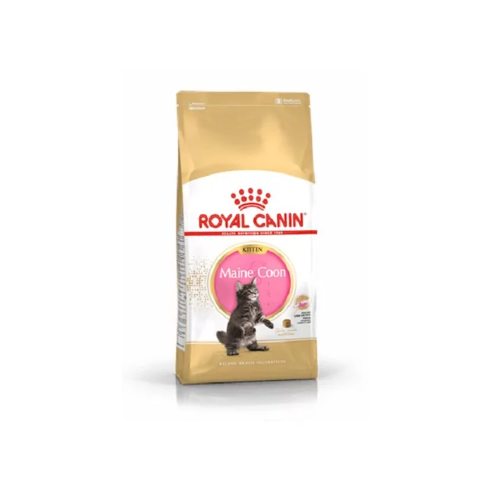 Royal Canin FBN MAINE COON KITTEN 2 kg