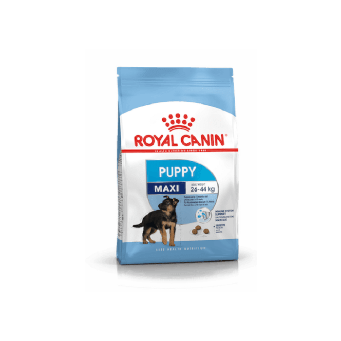 Royal Canin SHN Maxi Puppy / 1kg