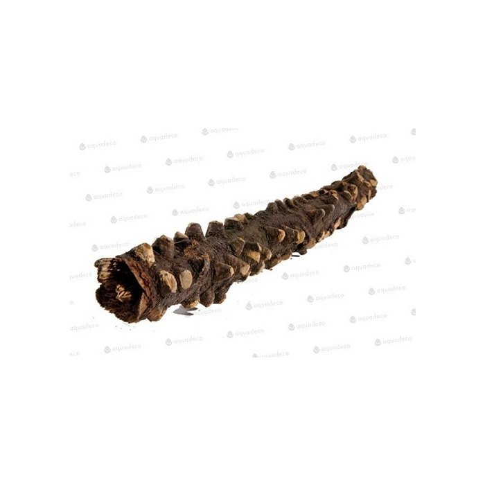 Terraarium kaunistus Silmad Puit 20-30cm
