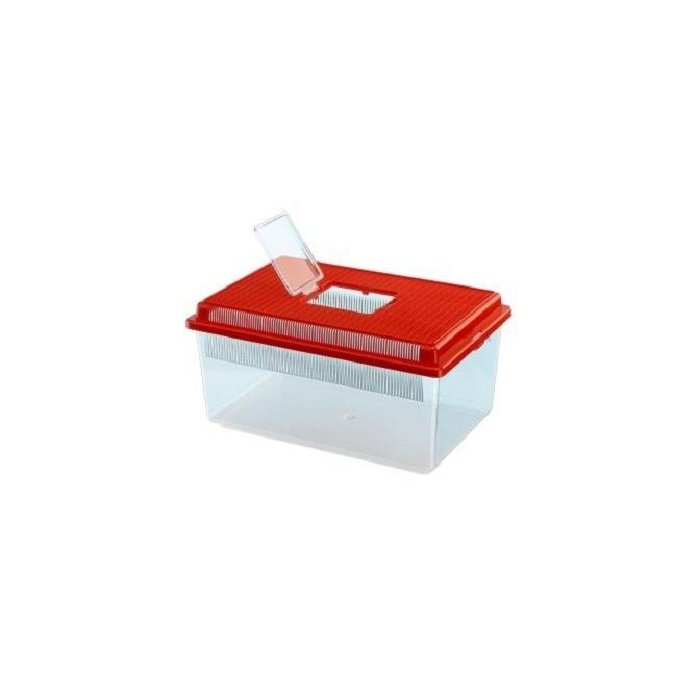 Plastikust terraarium Geo Flat Small / 4l 