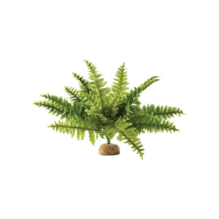 Terraariumi dekoor EXO-TERRA Boston Fern, Keskmine