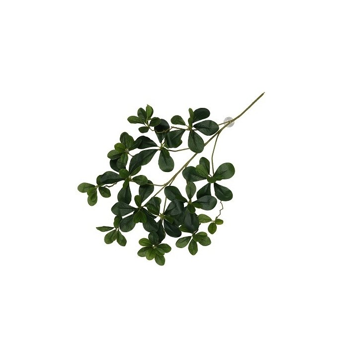 Terraariumi dekoor koos iminapiga Aralia 60x30x6cm roheline
