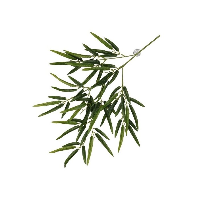 Terraariumi dekoor koos iminapiga Bamboo 65x35x4cm roheline