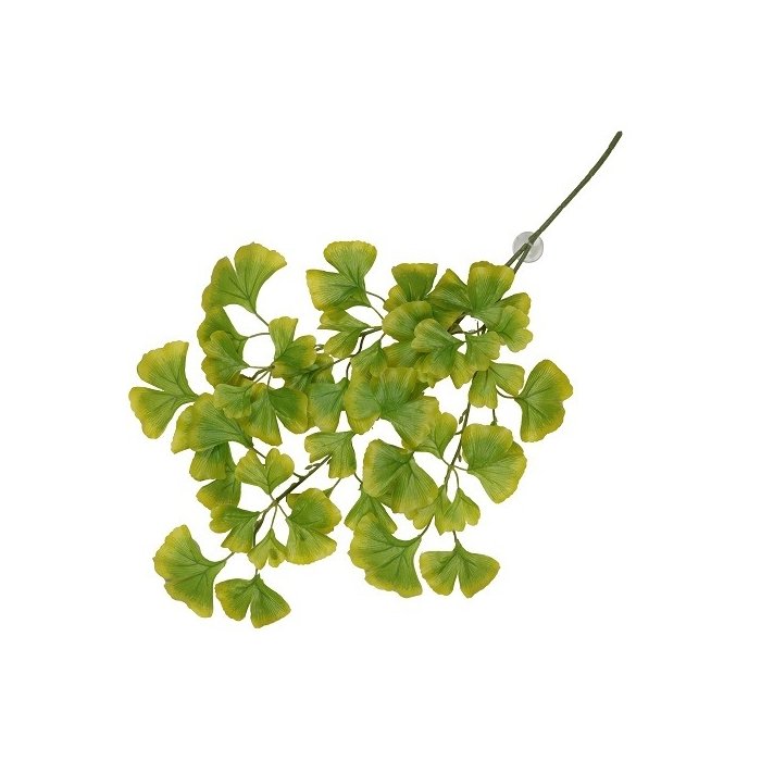 Terraariumi dekoor koos iminapiga Ginko 63x36x5cm roheline