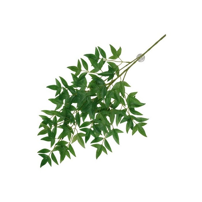 Terraariumi dekoor koos iminapiga Nandina 65x35x1,5cm roheline
