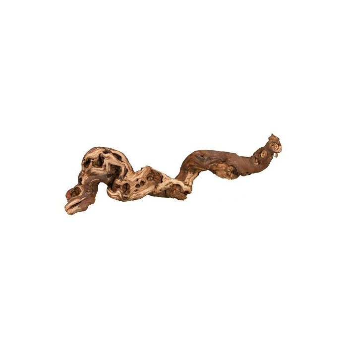 Terraariumi dekoor Viinamarjapuu, M: 30-40 cm