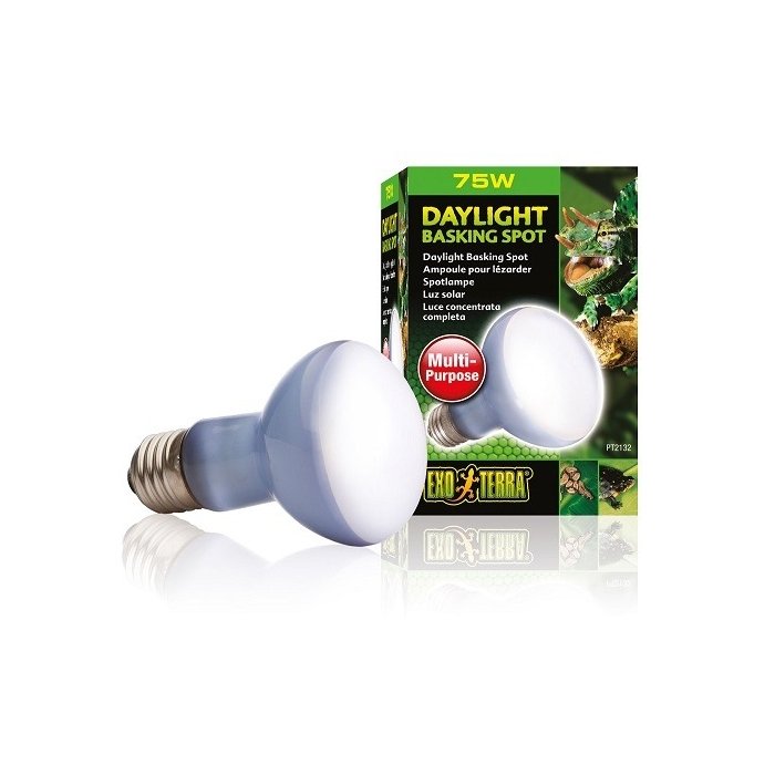 Terraariumi lamp Daylight Basking Spot R20 75W PT2132