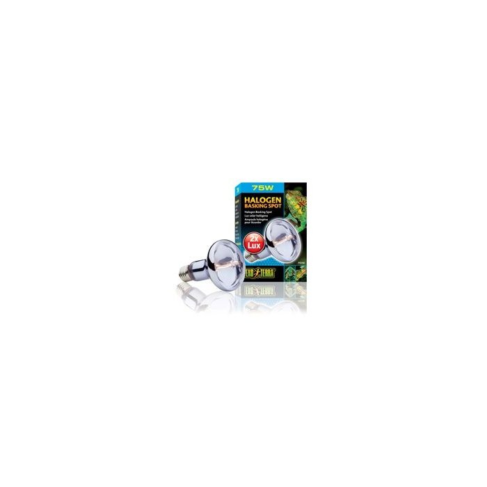 Terraariumi lamp Halogen Basking Spot 75W PT2182