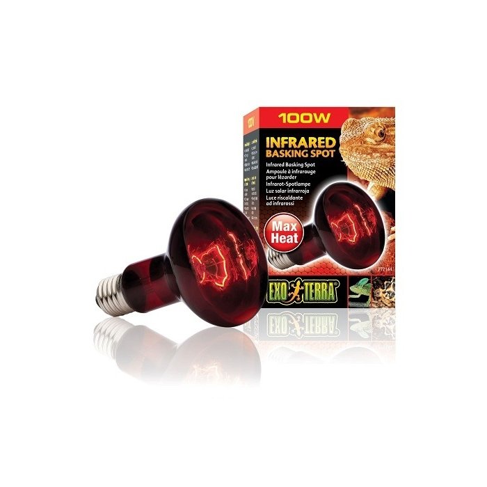 Soojenduslamp Exo Terra Heat Glo Infrared Basking Spot R25 / 100W