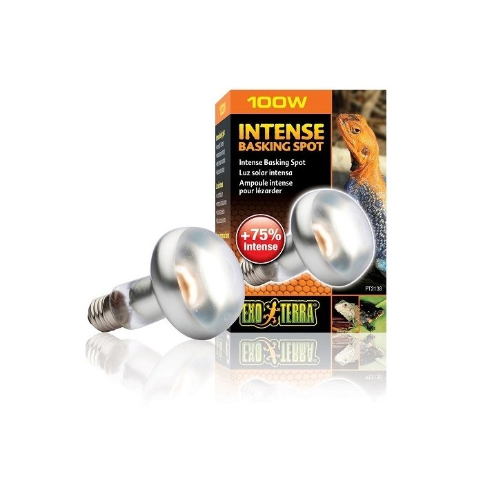 Soojenduslamp Exo Terra Intense Basking Spot S25 / 100W