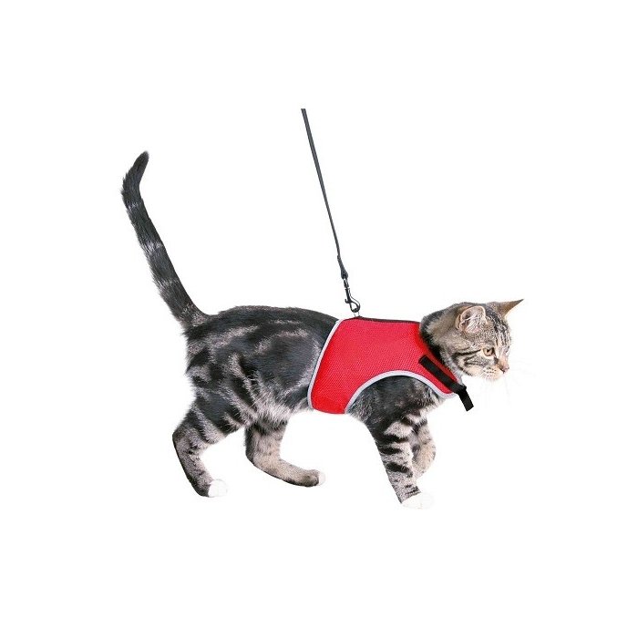 Traksid kassidele rihmaga Pehme 24-42 cm, 1,20 m