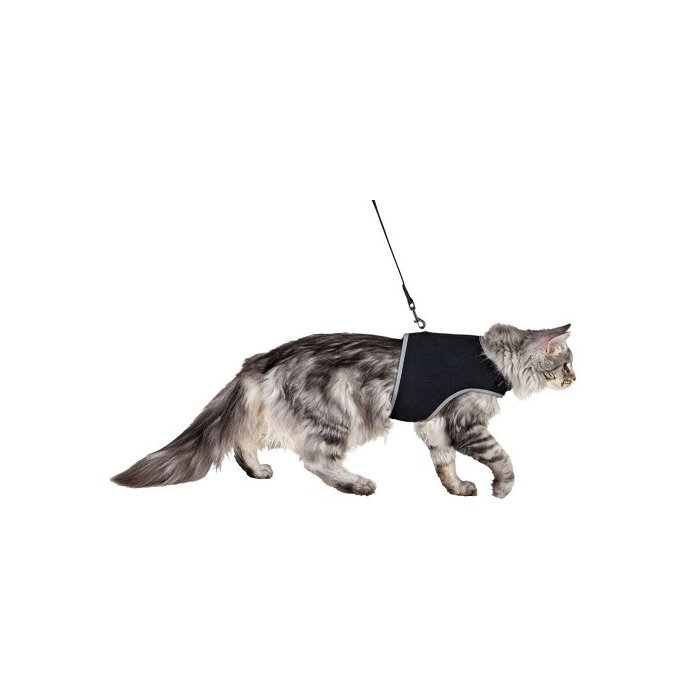 Traksid kassidele rihmaga Pehme XL, 36-54 cm, 1,20 m, mustad