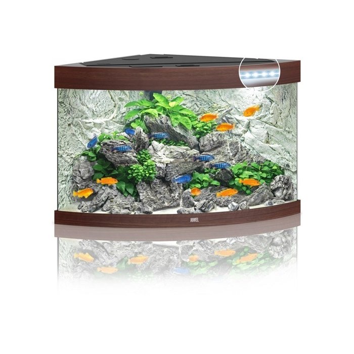 Akvaarium 'Trigon, tume puit  / 350l