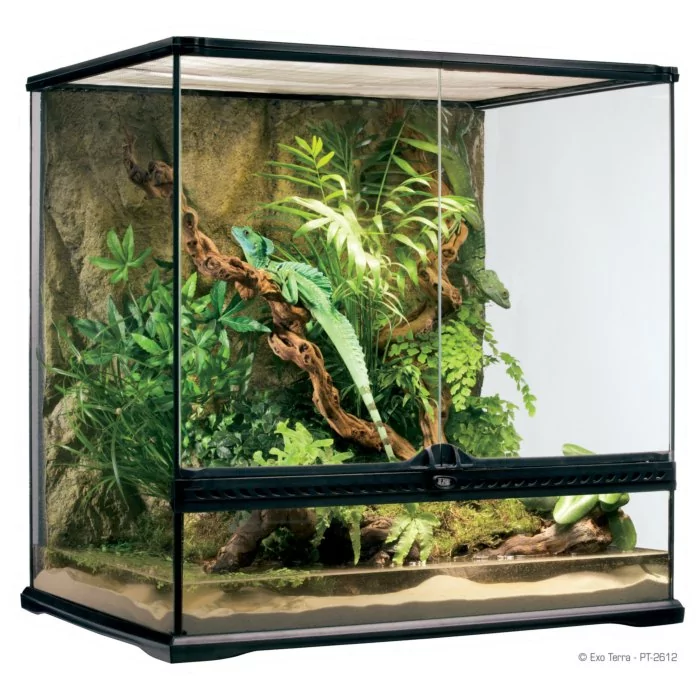 Klaasist terraarium - Exo Terra Natural, Medium / 60x45x60см (PT2612)  