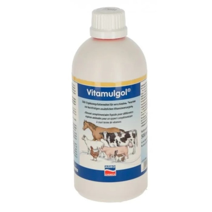 Multivitamiin Vitamulgol 500ml