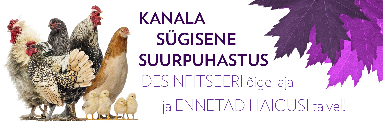 Kanala desinfitseerimine