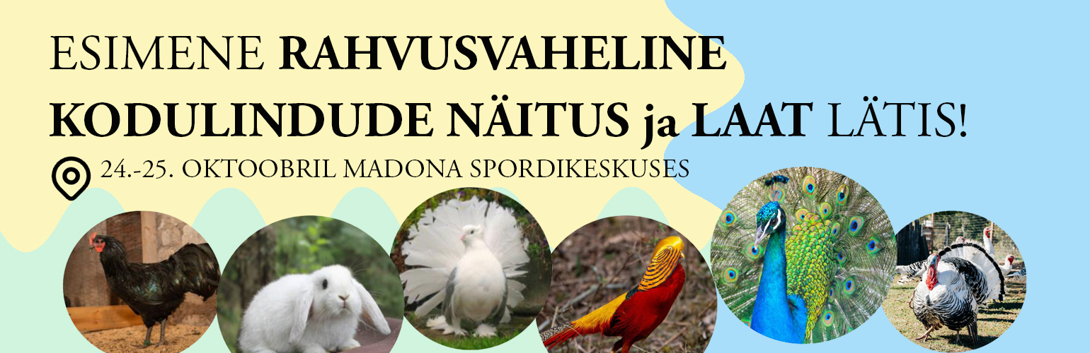 Madona linnunäitus 2025