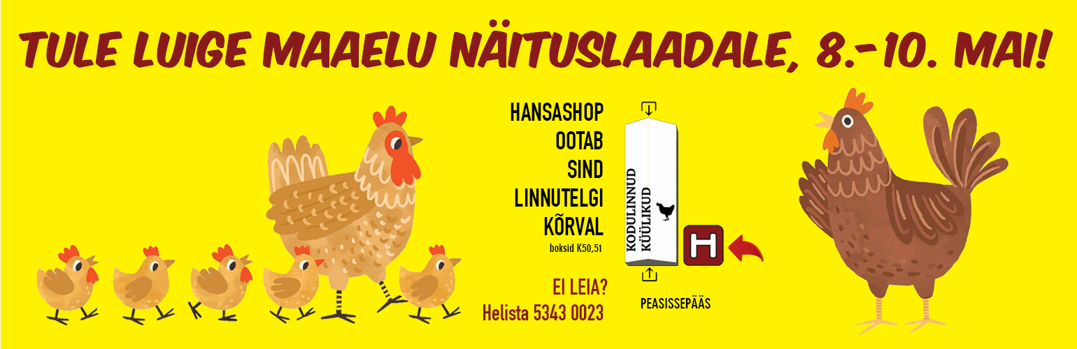 Hansashop Luige laadal